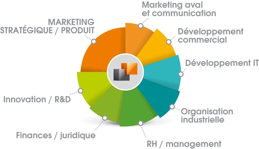 Roue des huit domaines de l’écosystème : marketing stratégique et produit, marketing aval et communication, développement commercial, développement IT, organisation industrielle, RH et management, finances et juridique, innovation et R&D