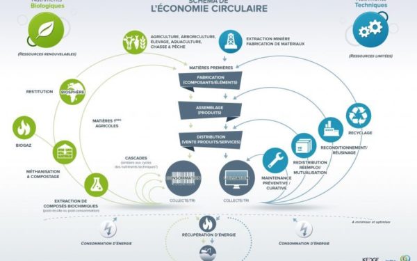 schemaeconomiecirculaire-800×500
