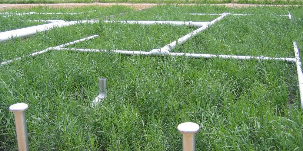 STEP-ecologique-1170×500