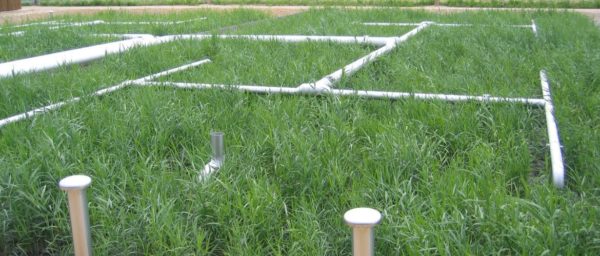 STEP-ecologique-1170×500